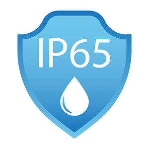 IP65 Protection icon